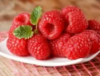 Малина. Саджанці